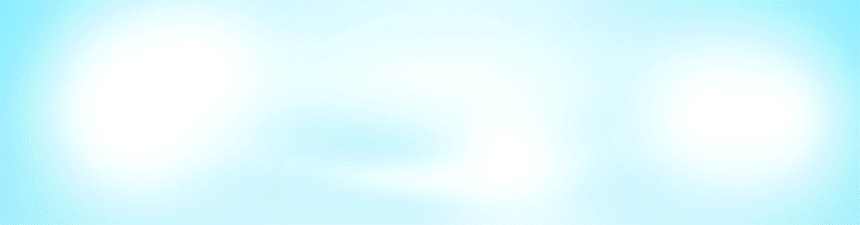 Page Bottom Banner